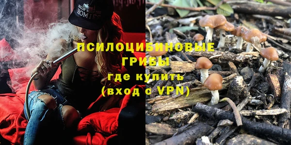 марихуана Белокуриха