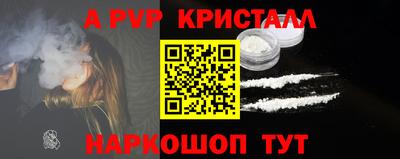 шишки Ноябрьск